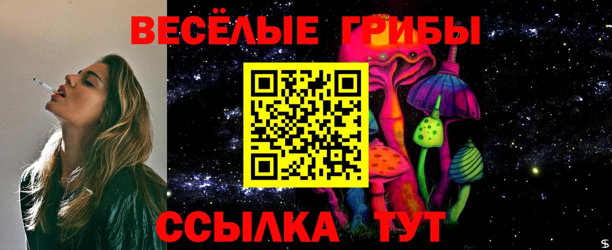 Томск  Псилоцибиновые грибы GOLDEN TEACHER  Вход с VPN 
